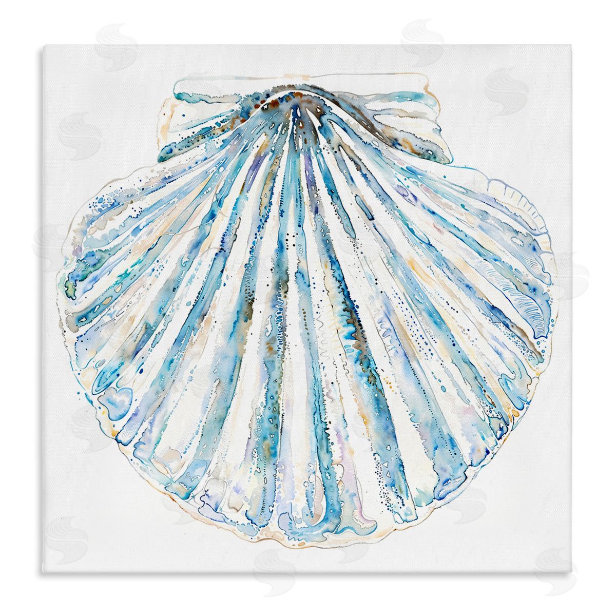 Clam Shell on White Canvas Wall Art, Home Decor by Christine Zalewski