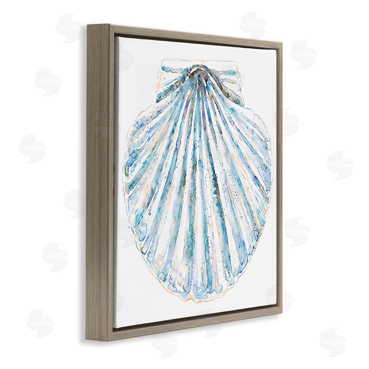 Clam Shell on White Brown Floating Frame Canvas Wall Art, Home Decor by Christine Zalewski