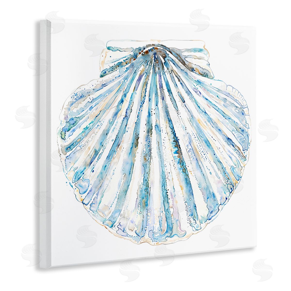 Clam Shell on White Wood Plaque Wall Art, Home Decor by Christine Zalewski