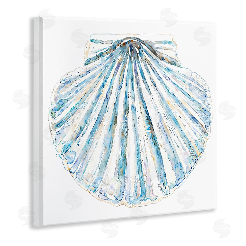 Christine Zalewski | Clam Shell on White