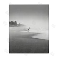 Chip Forelli | Heron on Beach Coast