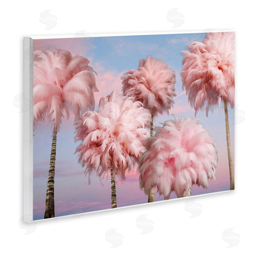Ziwei Li | Fluffy Pink Palm Trees