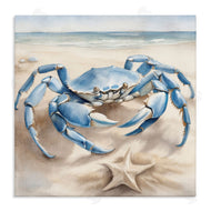 Kim Allen | Crab and Starfish on Beach