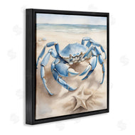 Kim Allen | Crab and Starfish on Beach