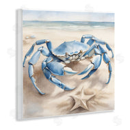 Kim Allen | Crab and Starfish on Beach