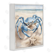 Kim Allen | Crab and Starfish on Beach