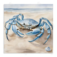 Kim Allen | Blue Crab on Beach