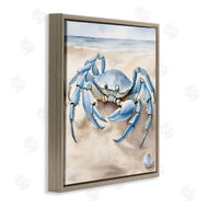 Kim Allen | Blue Crab on Beach