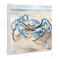 Kim Allen | Blue Crab on Beach
