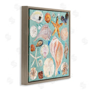 Melissa Hyatt | Seashell Puzzle Pattern