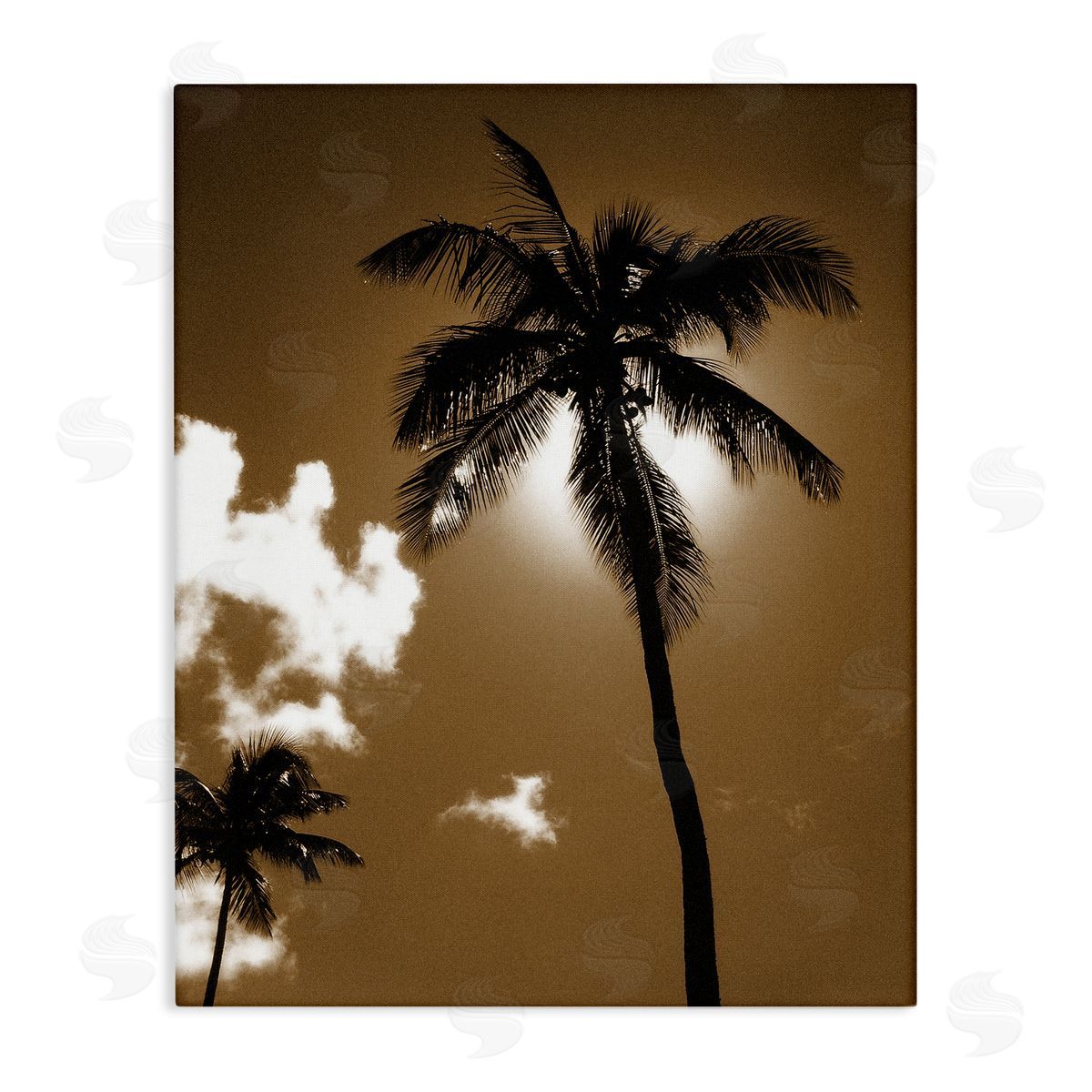 Sunlight Through Palms Canvas Wall Art, Home Decor by Noah Bay