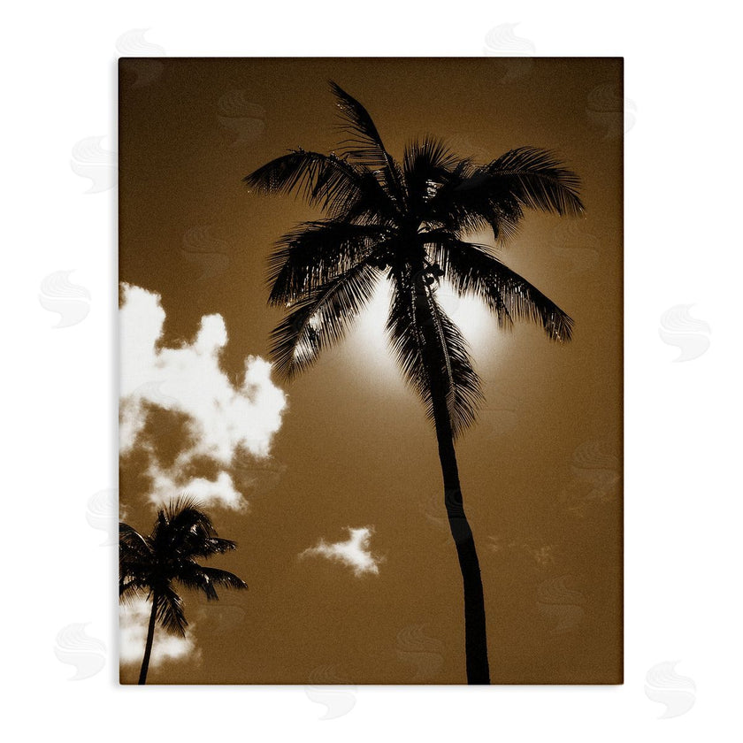 Noah Bay | Sunlight Through Palms