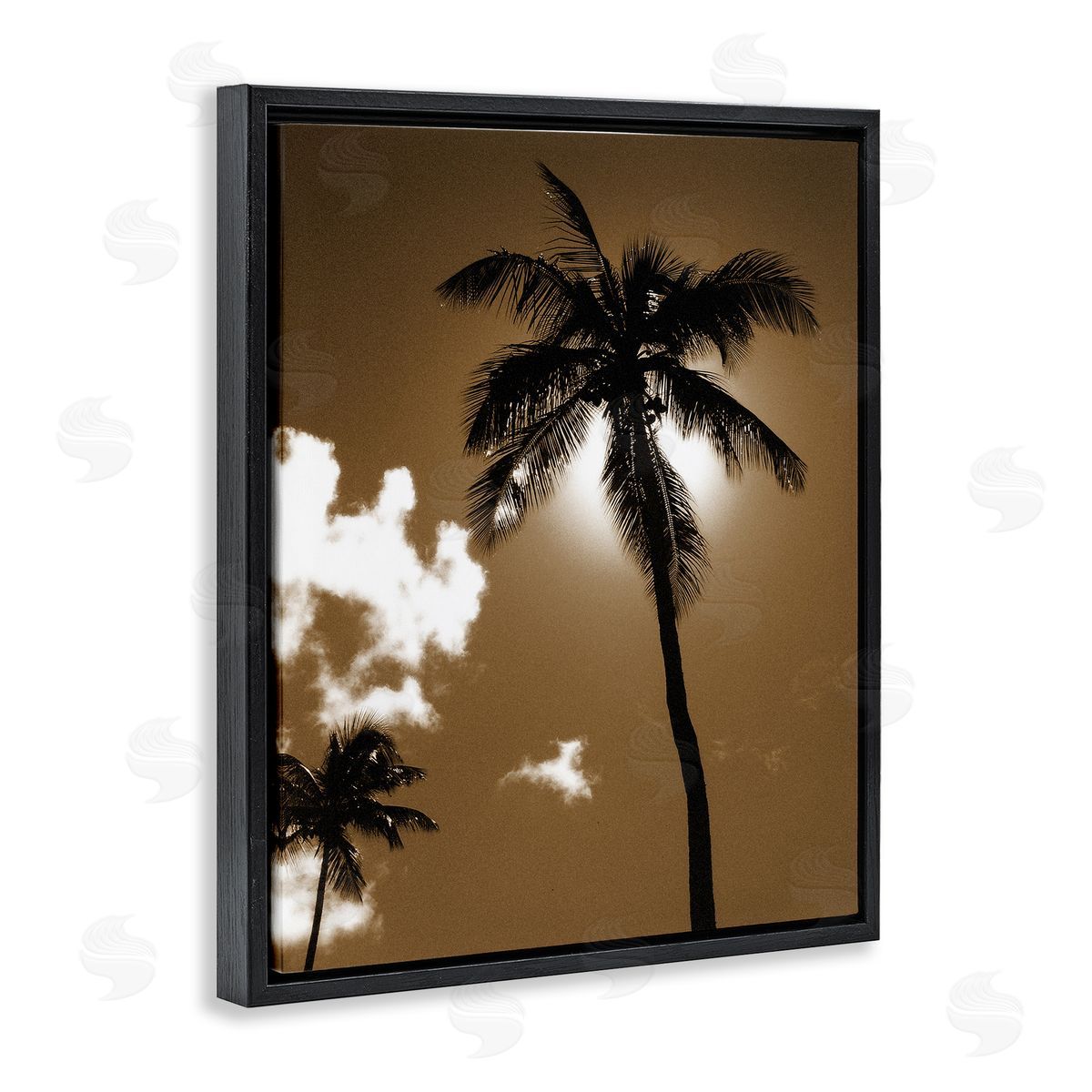 Sunlight Through Palms Black Floating Frame Canvas Wall Art, Home Decor by Noah Bay