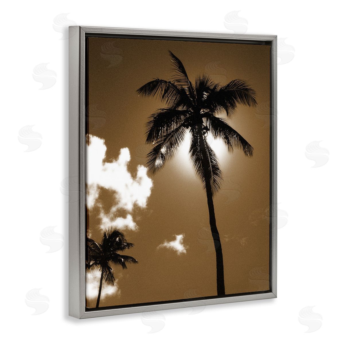Sunlight Through Palms Grey Floating Frame Canvas Wall Art, Home Decor by Noah Bay