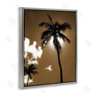 Noah Bay | Sunlight Through Palms