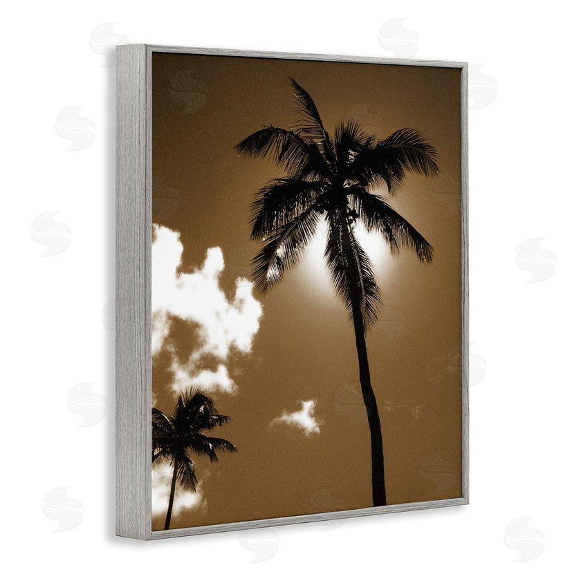 Noah Bay | Sunlight Through Palms