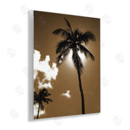 Noah Bay | Sunlight Through Palms