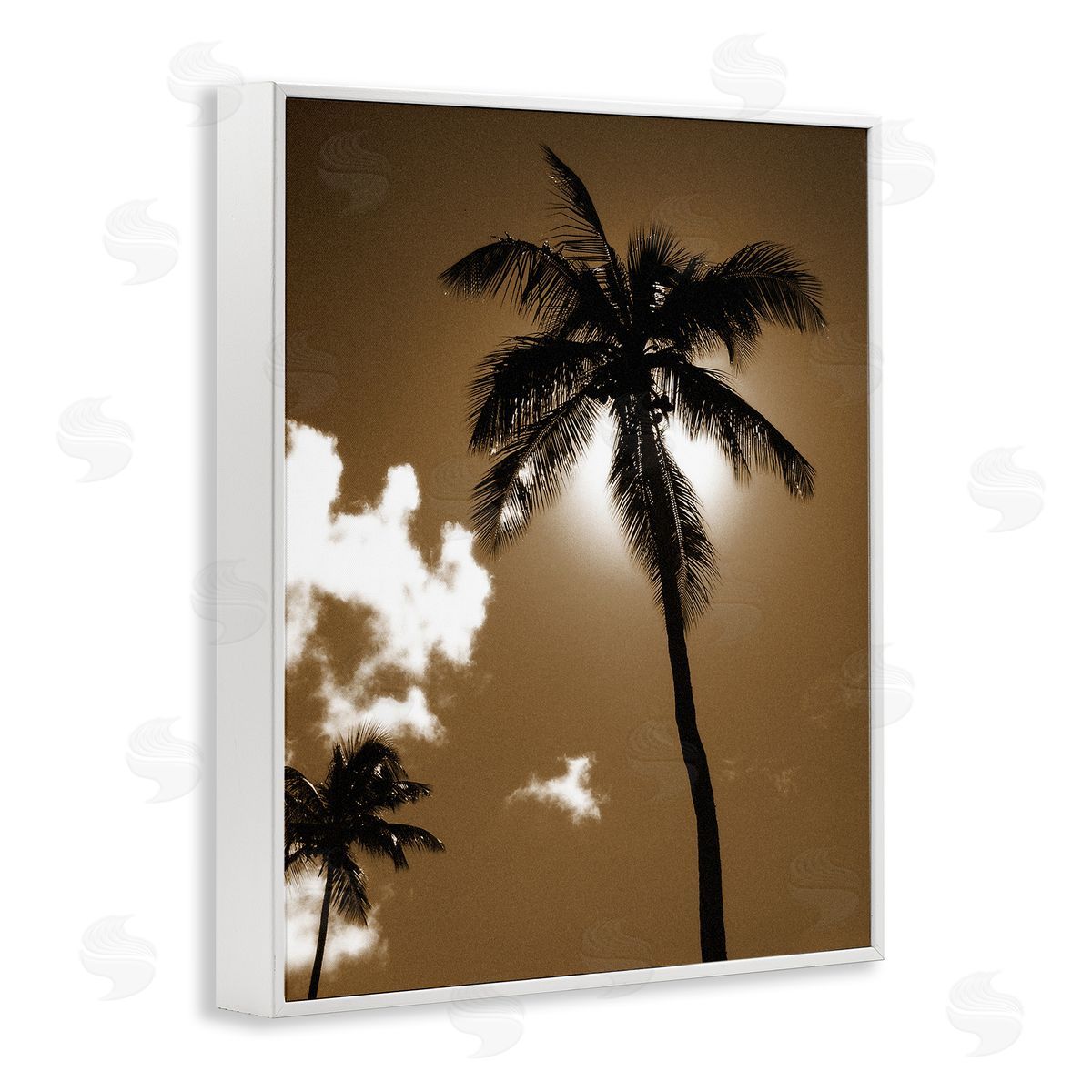 Sunlight Through Palms White Frame Print Wall Art, Home Decor by Noah Bay
