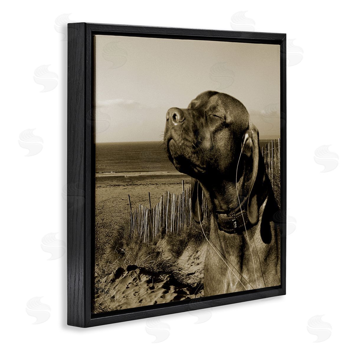 Relaxed Dog with Music Black Floating Frame Canvas Wall Art, Home Decor by Noah Bay