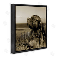Noah Bay | Relaxed Dog with Music