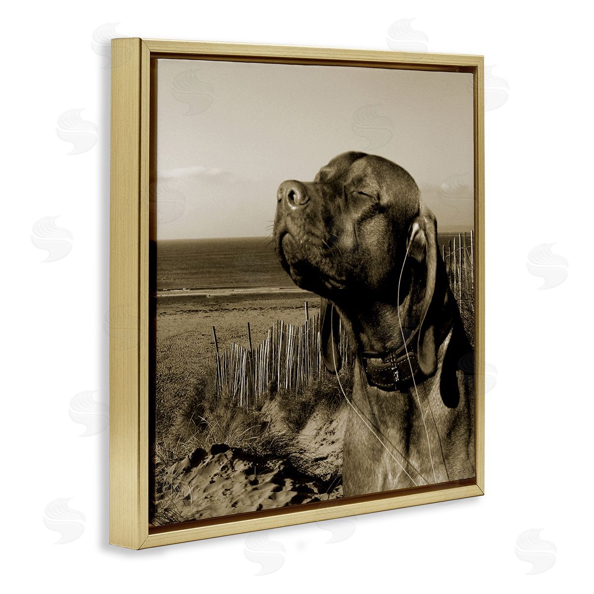 Relaxed Dog with Music Gold Floating Frame Canvas Wall Art, Home Decor by Noah Bay