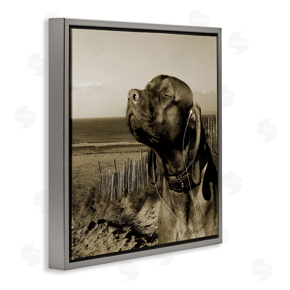 Relaxed Dog with Music Grey Floating Frame Canvas Wall Art, Home Decor by Noah Bay