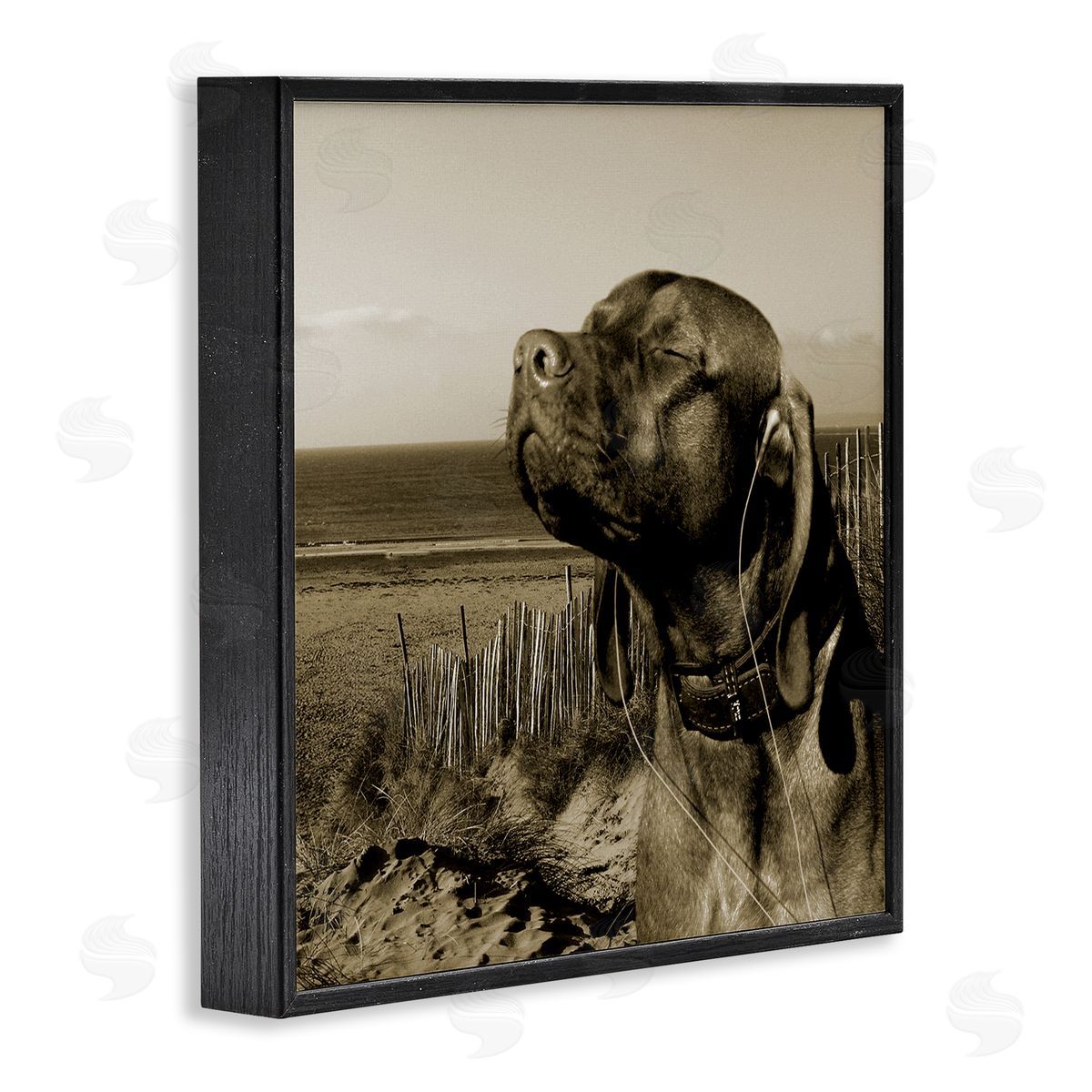 Relaxed Dog with Music Black Frame Print Wall Art, Home Decor by Noah Bay