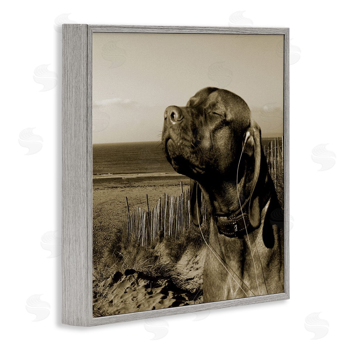 Relaxed Dog with Music Grey Frame Print Wall Art, Home Decor by Noah Bay