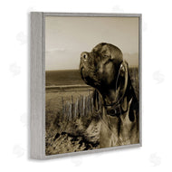 Noah Bay | Relaxed Dog with Music