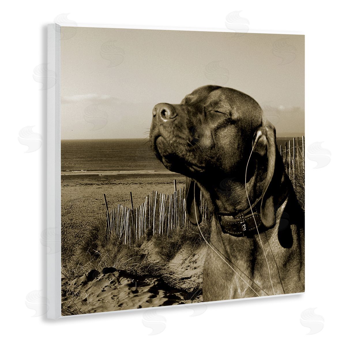 Relaxed Dog with Music Wood Plaque Wall Art, Home Decor by Noah Bay