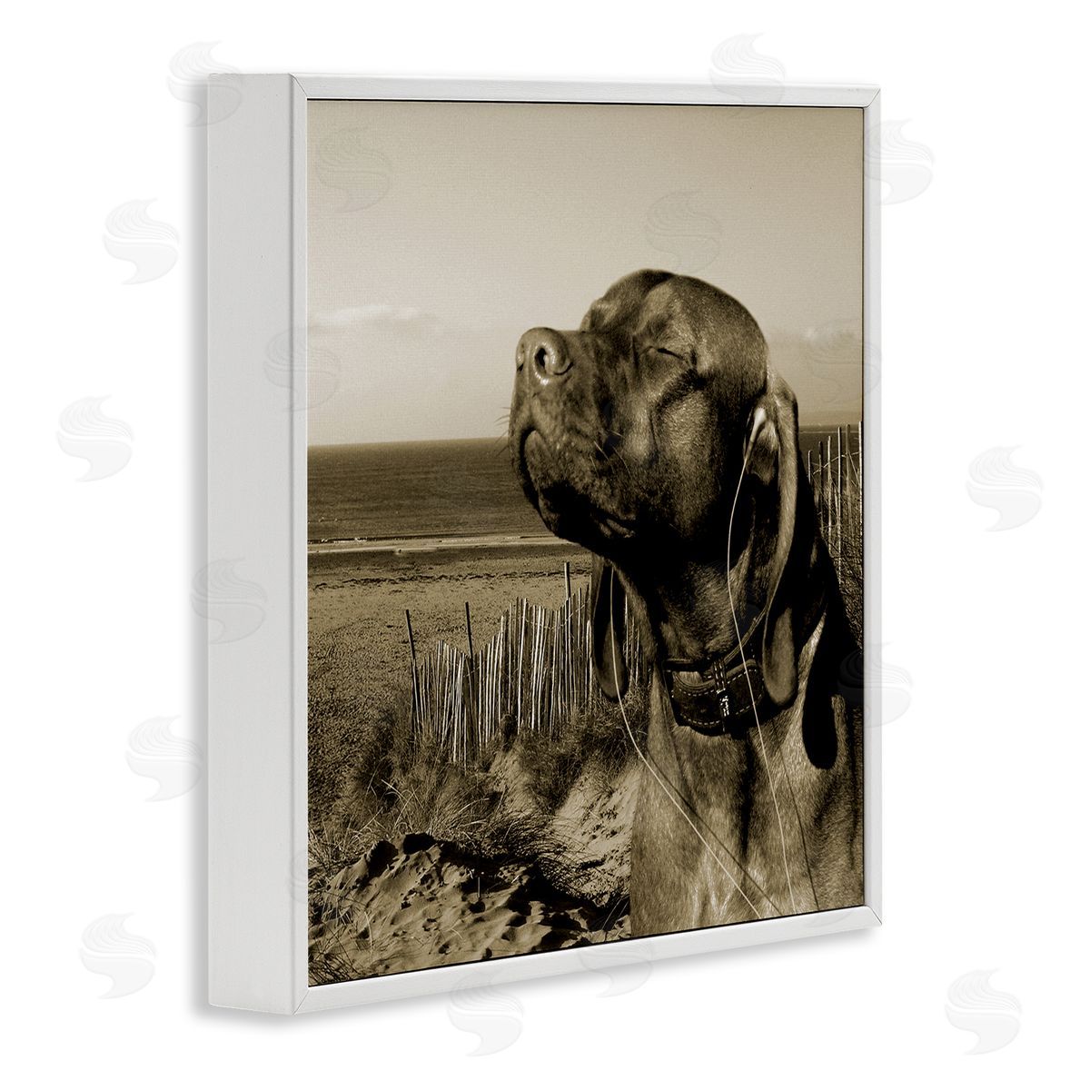 Relaxed Dog with Music White Frame Print Wall Art, Home Decor by Noah Bay