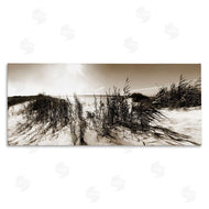 Noah Bay | Wind In The Dunes