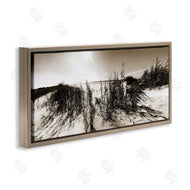 Noah Bay | Wind In The Dunes