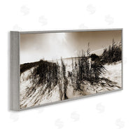 Noah Bay | Wind In The Dunes