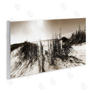 Noah Bay | Wind In The Dunes