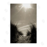 Noah Bay | Dune Valley Landscape
