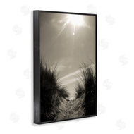 Noah Bay | Dune Valley Landscape