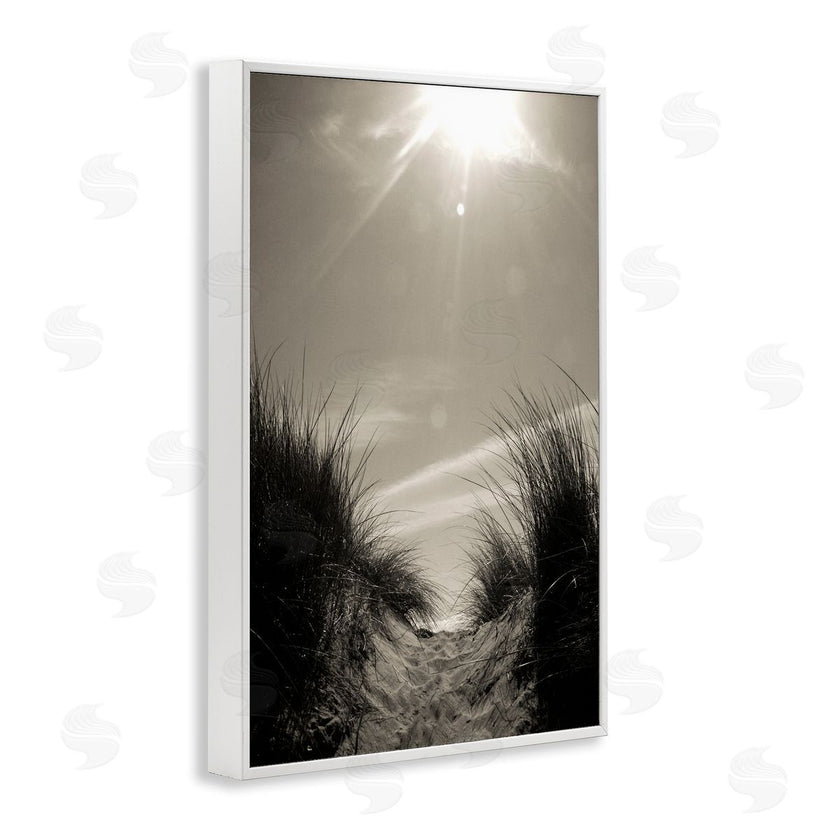 Noah Bay | Dune Valley Landscape