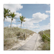 Noah Bay | Stroll In Dunes Landscape