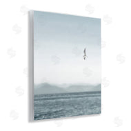 Noah Bay | Lone Gull over Sea