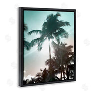 Noah Bay | Shady Palm Trees