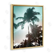 Noah Bay | Shady Palm Trees