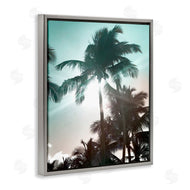 Noah Bay | Shady Palm Trees