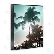 Noah Bay | Shady Palm Trees