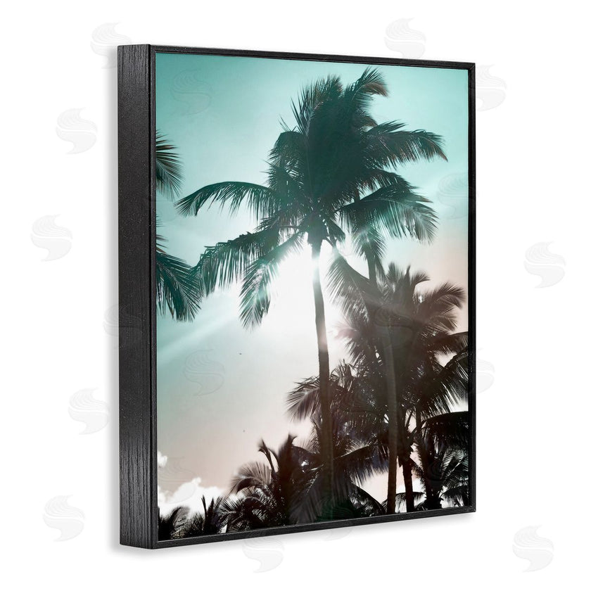 Noah Bay | Shady Palm Trees