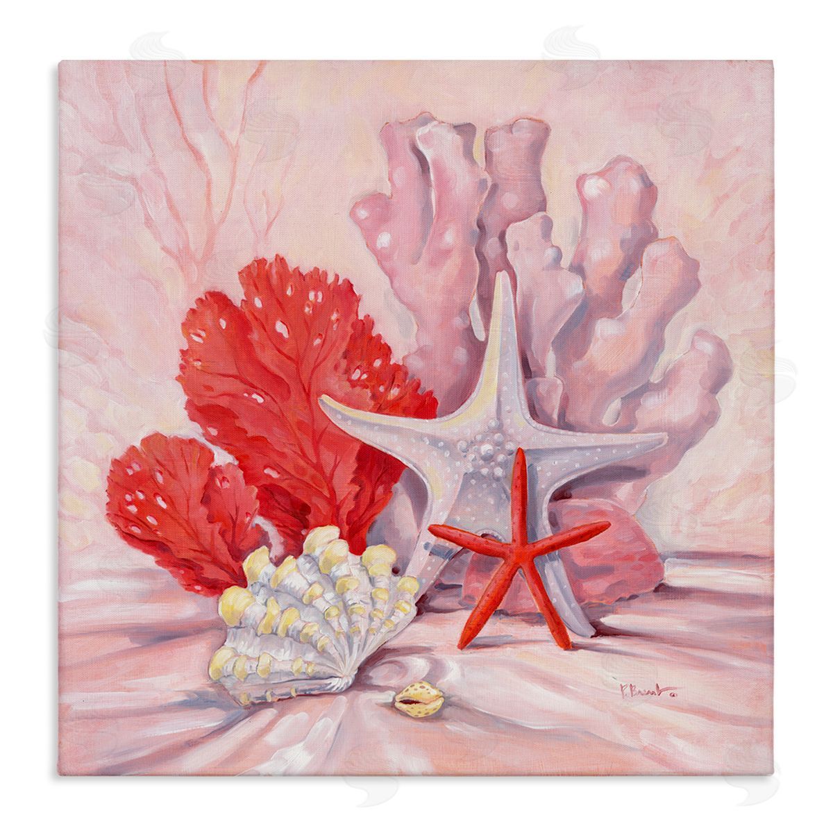 Pink Gathered Sea Life Canvas Wall Art, Home Decor by Paul Brent