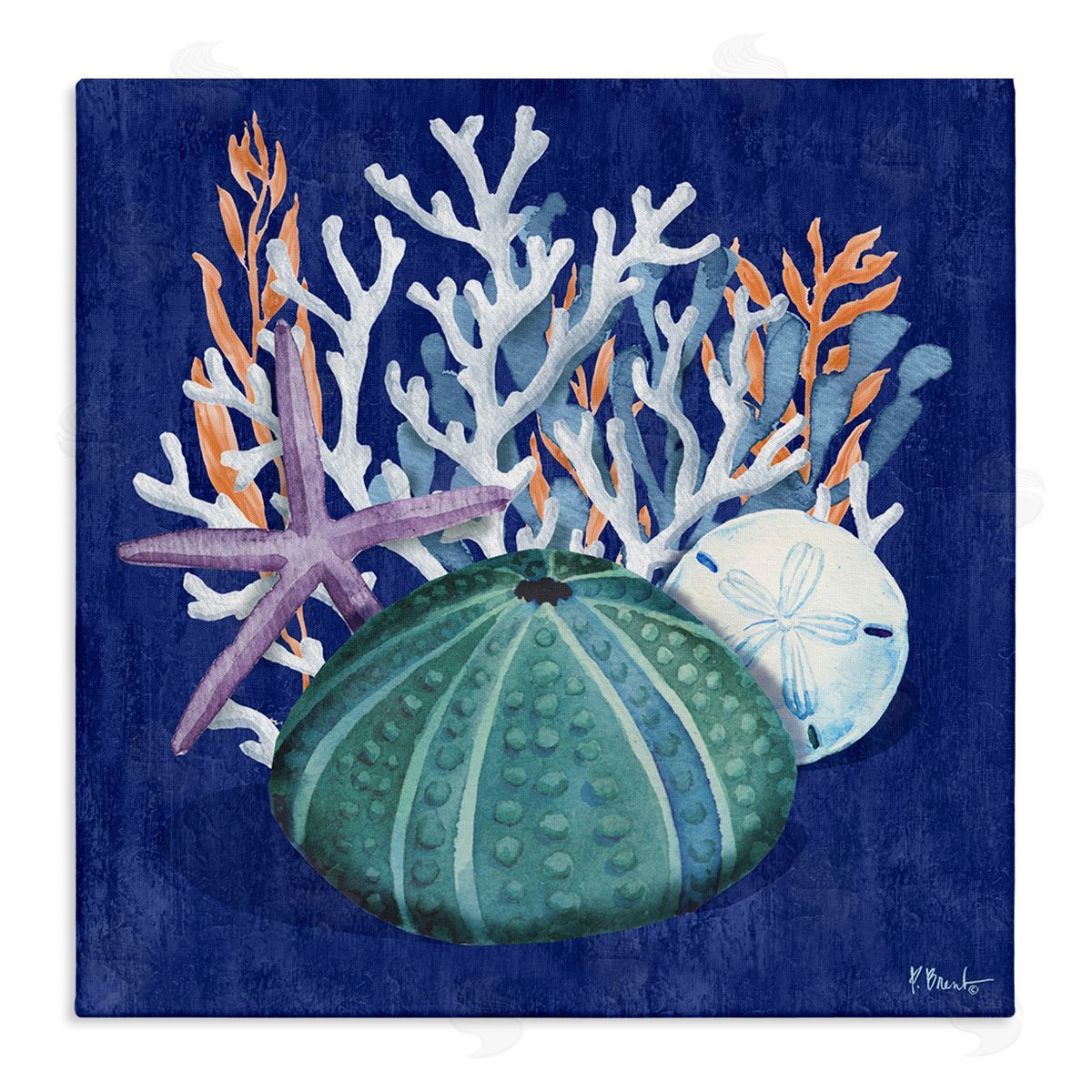 Monterey Urchin and Coral Canvas Wall Art, Home Decor by Paul Brent