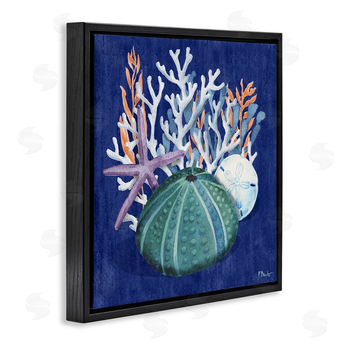 Monterey Urchin and Coral Black Floating Frame Canvas Wall Art, Home Decor by Paul Brent