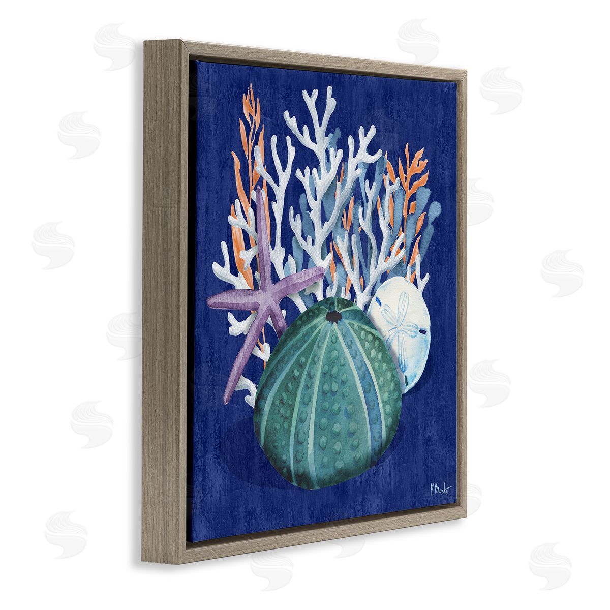 Monterey Urchin and Coral Brown Floating Frame Canvas Wall Art, Home Decor by Paul Brent