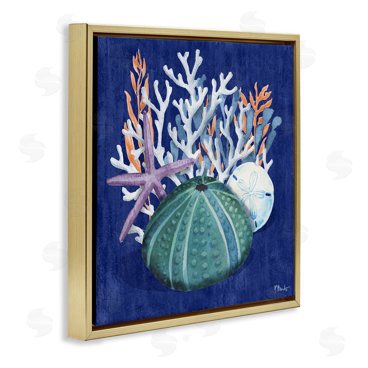 Monterey Urchin and Coral Gold Floating Frame Canvas Wall Art, Home Decor by Paul Brent